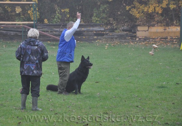 Zvod o pohr msta Sadsk 20.10.2012